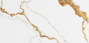 PLATINUM 30X60 REC TUXEDO GOLD